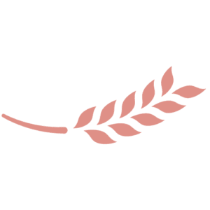 LaEspigaPinkColor
